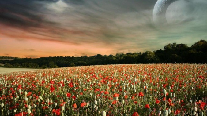 大家有什么被中医震惊征服的经历吗？